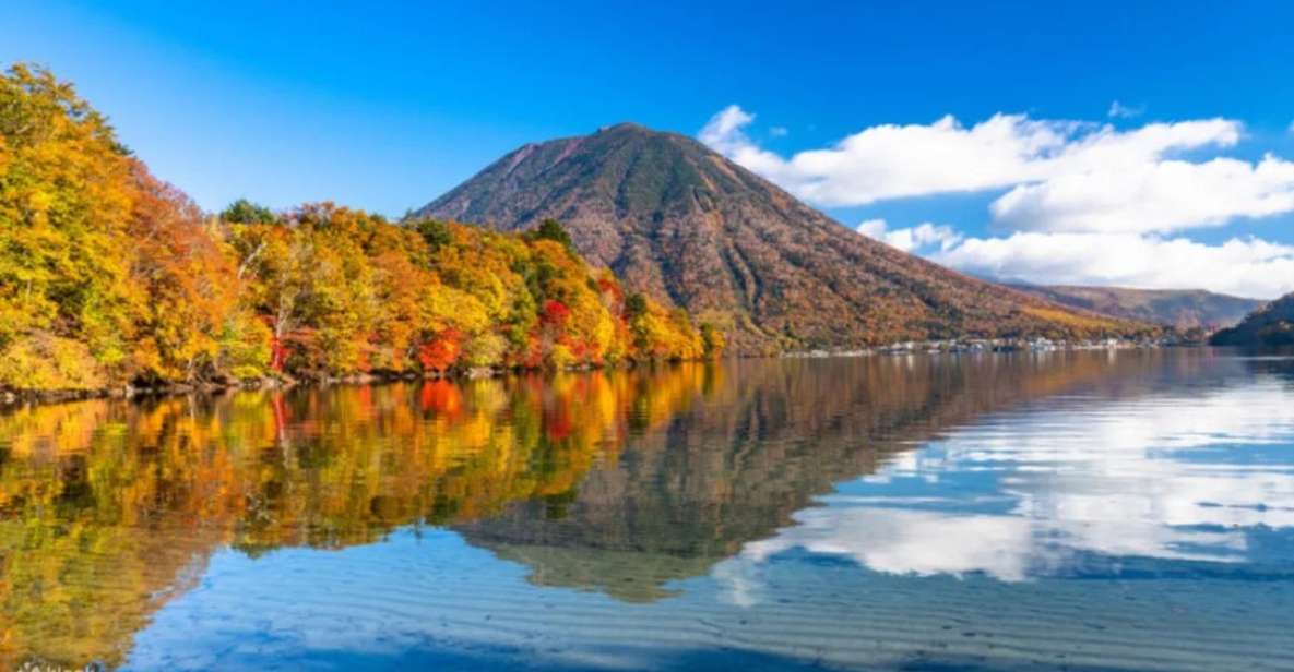 From Tokyo: Nikko UNESCO Shrine and Nature View 1-Day Tour - Activity Details