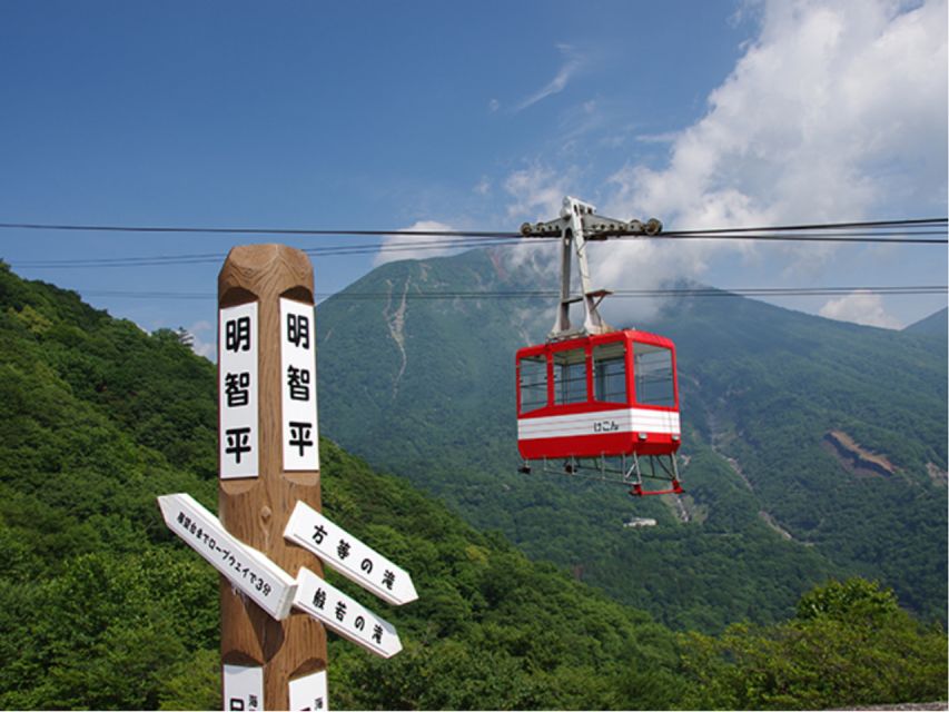 From Tokyo: Nikko UNESCO Shrine and Nature View 1-Day Tour - Participant Requirements and Meeting Point