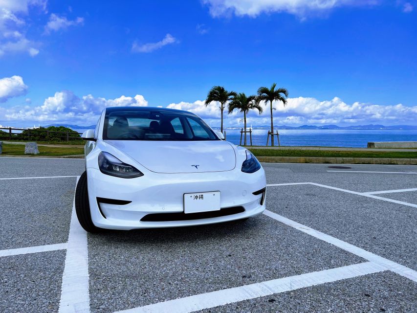 Okinawa Car Rental With Tesla - Selecting Participants and Date