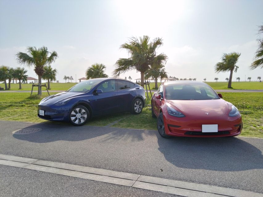 Okinawa Car Rental With Tesla - Inclusions and Restrictions