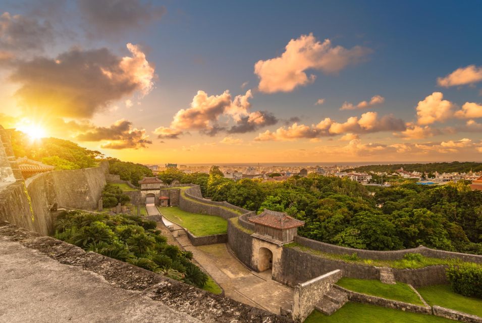 Okinawa Car Rental With Tesla - The Sum Up