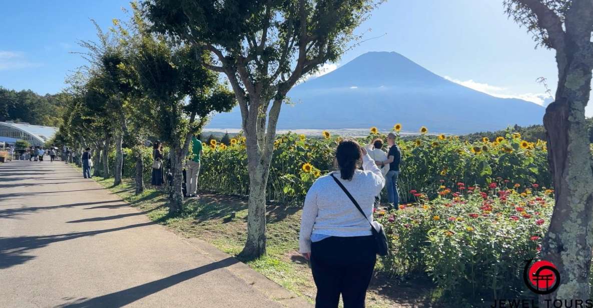 Fuji Yamanaka Lake. Oshino Hakkai and Local Noodles - Exploring Fuji Yamanaka Lake