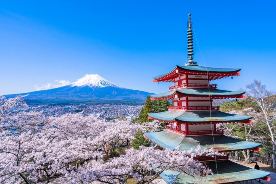 From Tokyo: Mount Fuji Day Trip With Yamanakako Hot Springs - The Sum Up