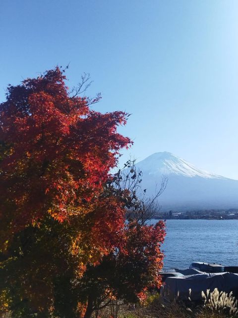 Mount Fuji-Lake Kawaguchi Private Tour With Bilingual Driver - Booking and Cancellation Details