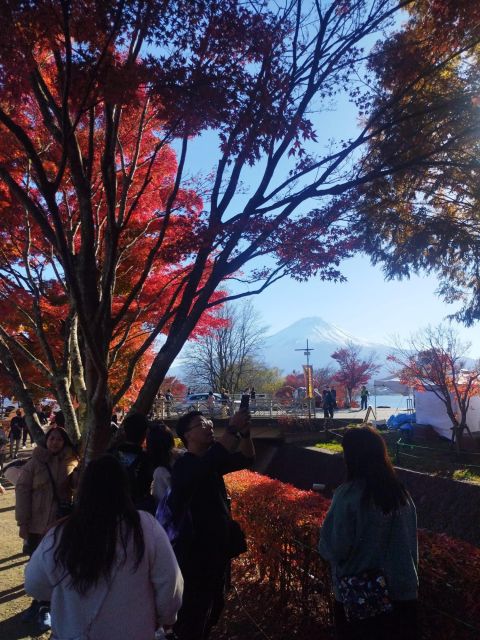 Mount Fuji-Lake Kawaguchi Private Tour With Bilingual Driver - Frequently Asked Questions