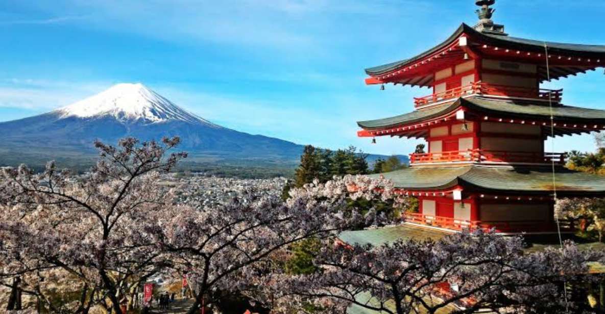 Mount Fuji Full Day Private Tour in English Speaking Guide - Tour Description