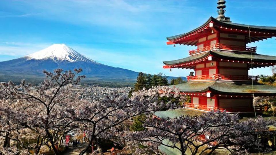 Mount Fuji Full Day Private Tour in English Speaking Guide - Inclusions