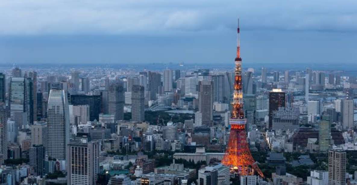 Tokyo: 1 Day Private Customizable City Tour by Car and Van - Highlights of the Tour