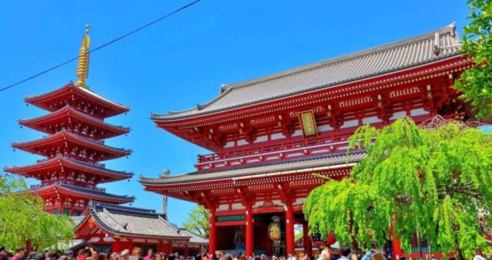 Tokyo: 1 Day Private Customizable City Tour by Car and Van - Frequently Asked Questions