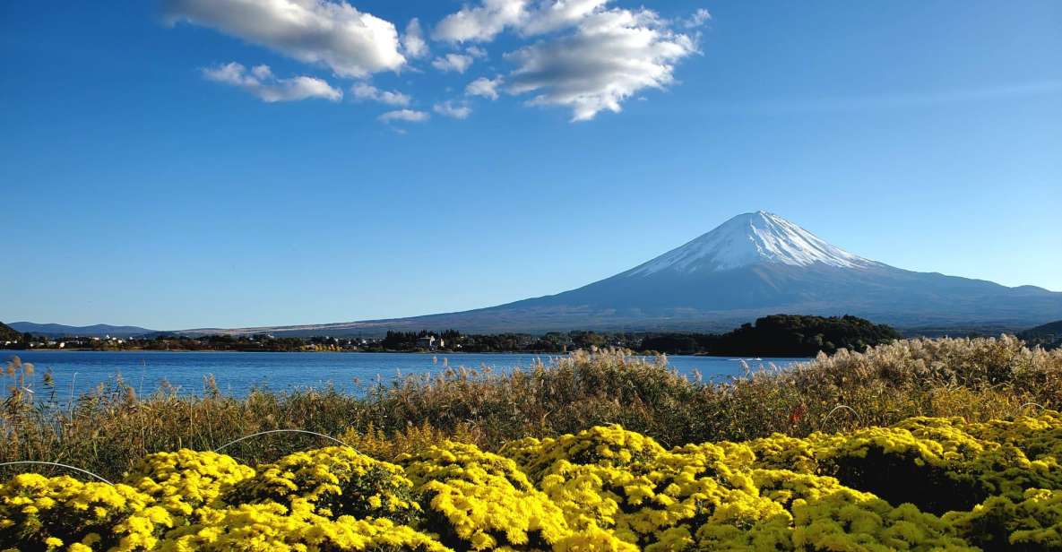 Mount Fuji Personalized Private Tour W/English Guide - Booking Details