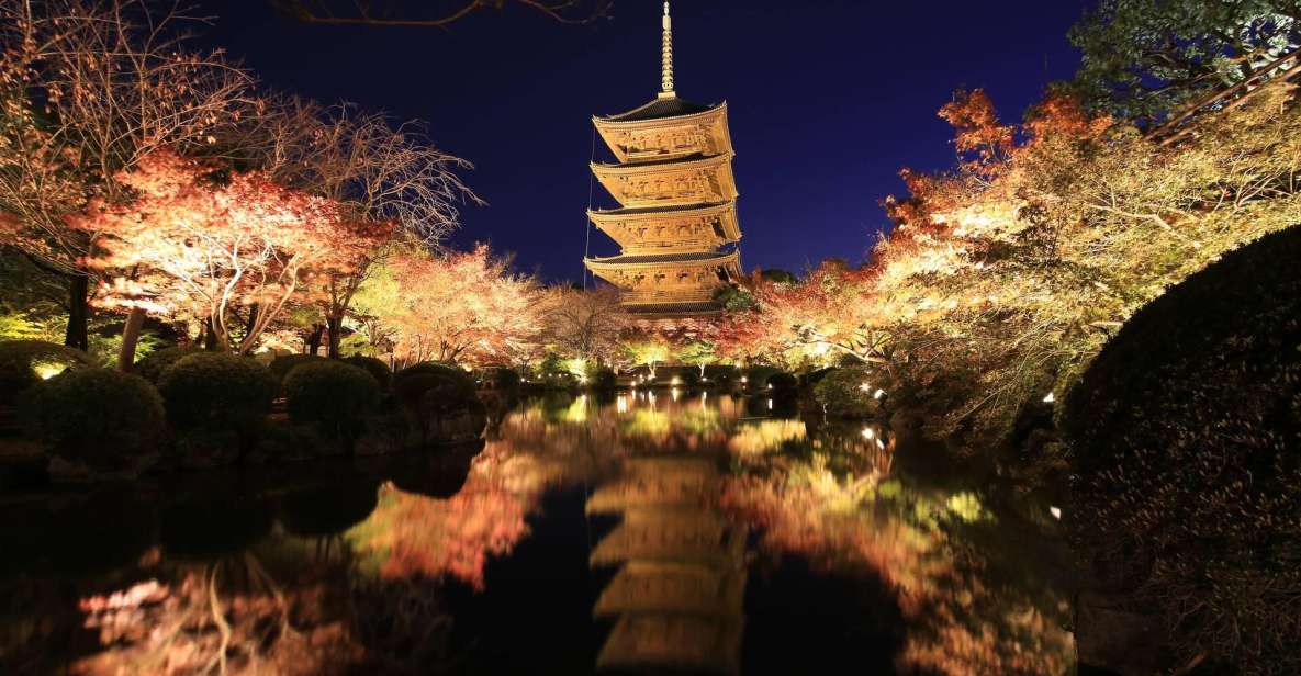 Kyoto: Toji Temple Autumn Nighttime Lightup Walking Tour - Full Description of Toji Temple