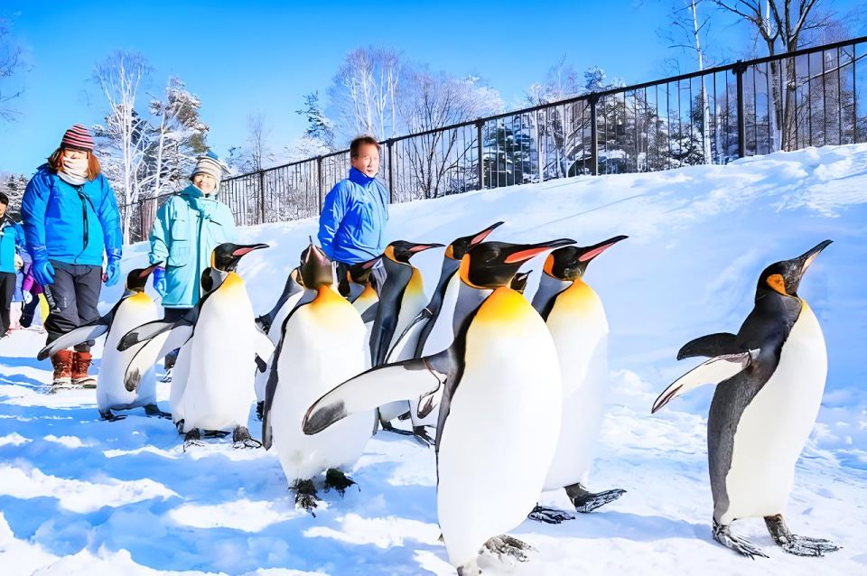 Hokkaido:Icebreak Cruise Cruise-Ⅲ IMERU, Asahiyama Zoo Tour - The Sum Up