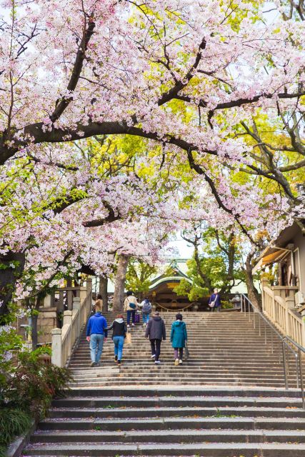 Temple Visit Tokyo - Discover Serene Pathways