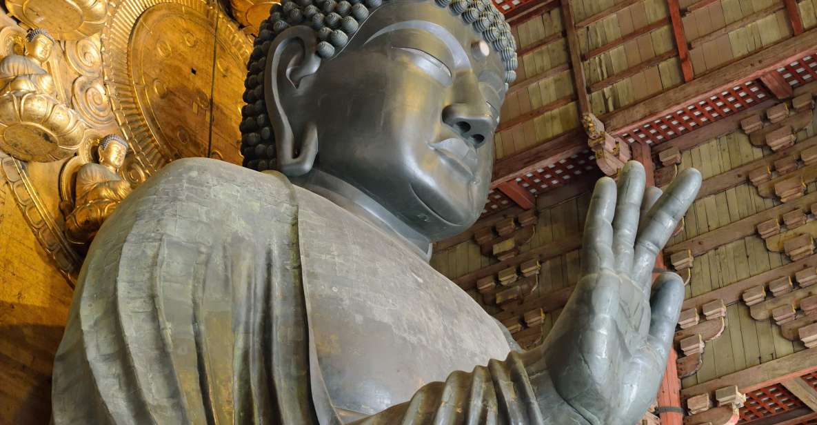 Nara: Audio Guide Delve Into Todai-Ji & Kasuga Taisha - Activity Details