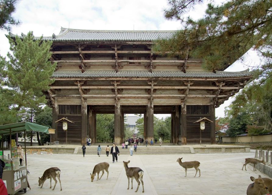 Nara: Audio Guide Delve Into Todai-Ji & Kasuga Taisha - The Sum Up