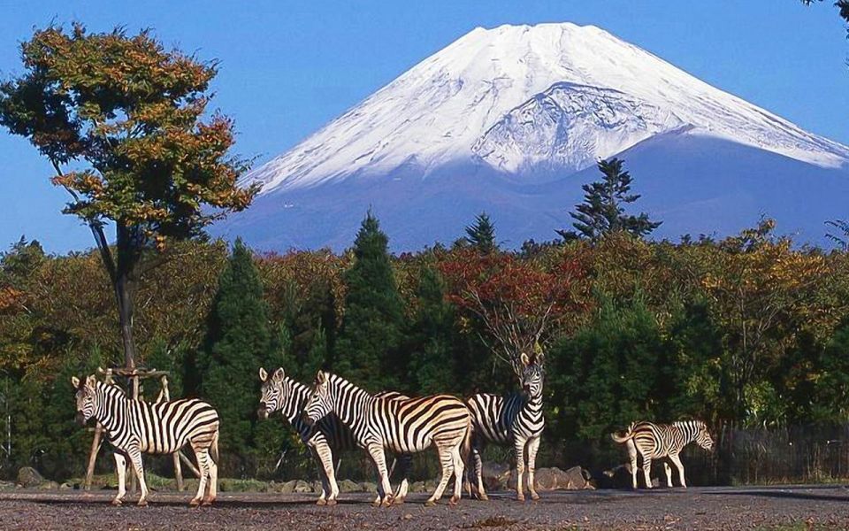 Mt Fuji : Highlight Tour and Unforgettable Experience - Tour Highlights