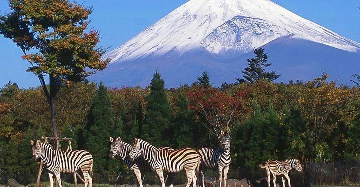 Mt Fuji : Highlight Tour and Unforgettable Experience - Full Tour Description