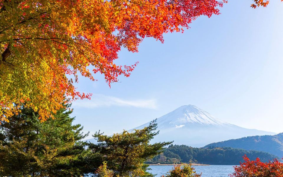 Mt Fuji : Highlight Tour and Unforgettable Experience - Fuji Safari Park