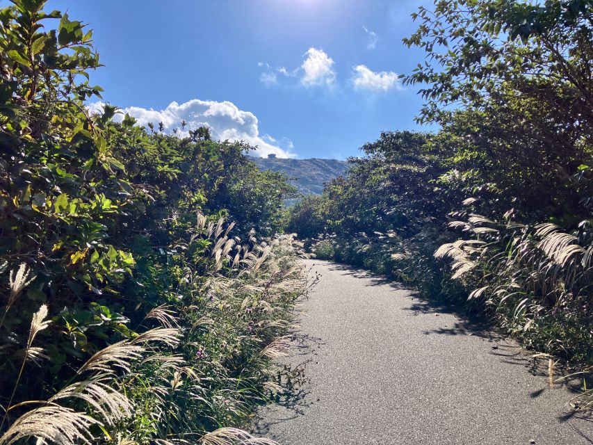 Feel the Volcano by Trekking at Mt.Mihara - Mt.Mihara: A Guided Trekking Adventure