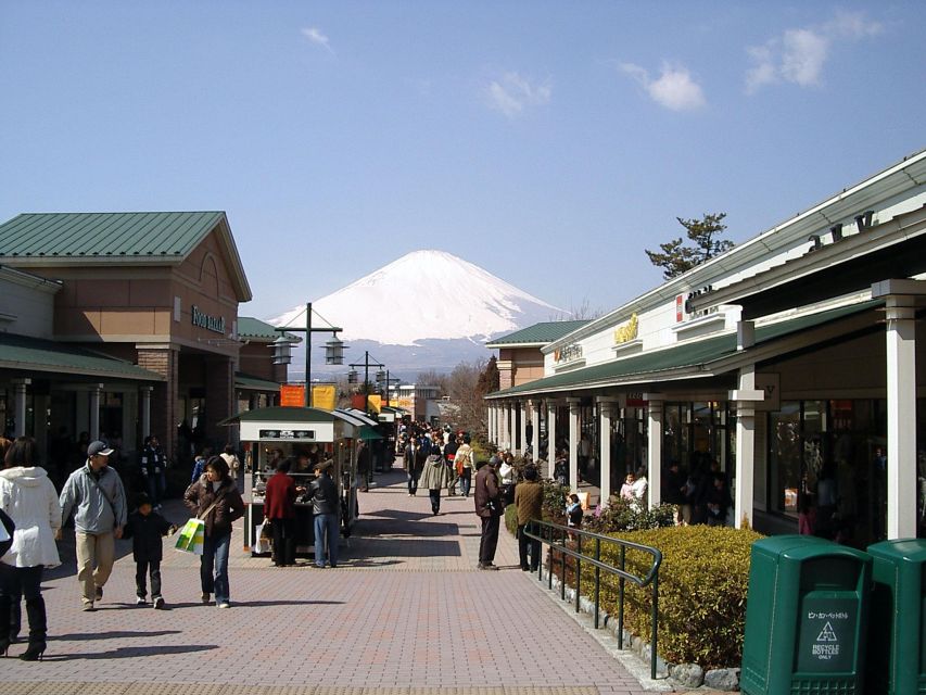 Mount Fuji Panoramic View & Shopping Day Tour - Customer Reviews and Pricing