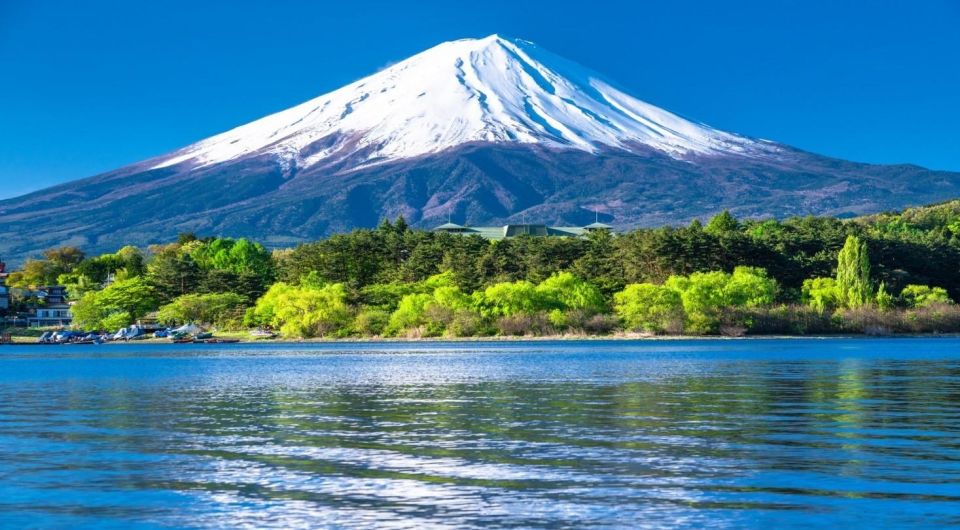 Mount Fuji Panoramic View & Shopping Day Tour - Luggage and Belongings