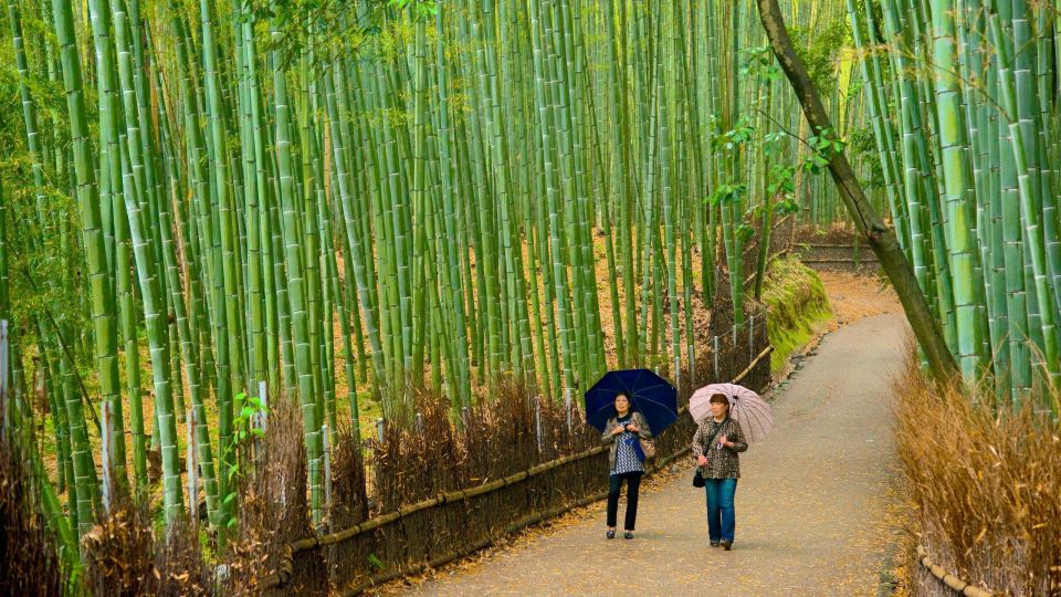 Kyoto & Nara Day Tour From Osaka/Fushimi Inari, Arashiyama - Tour Duration and Availability