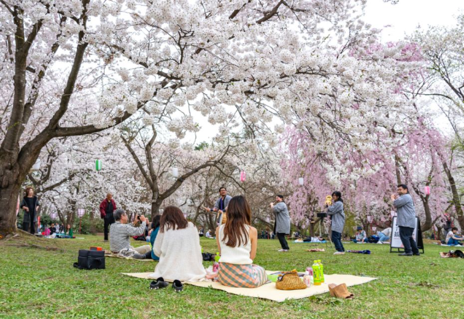 Private & Unique Kanazawa Cherry Blossom "Sakura" Experience - Experience Highlights