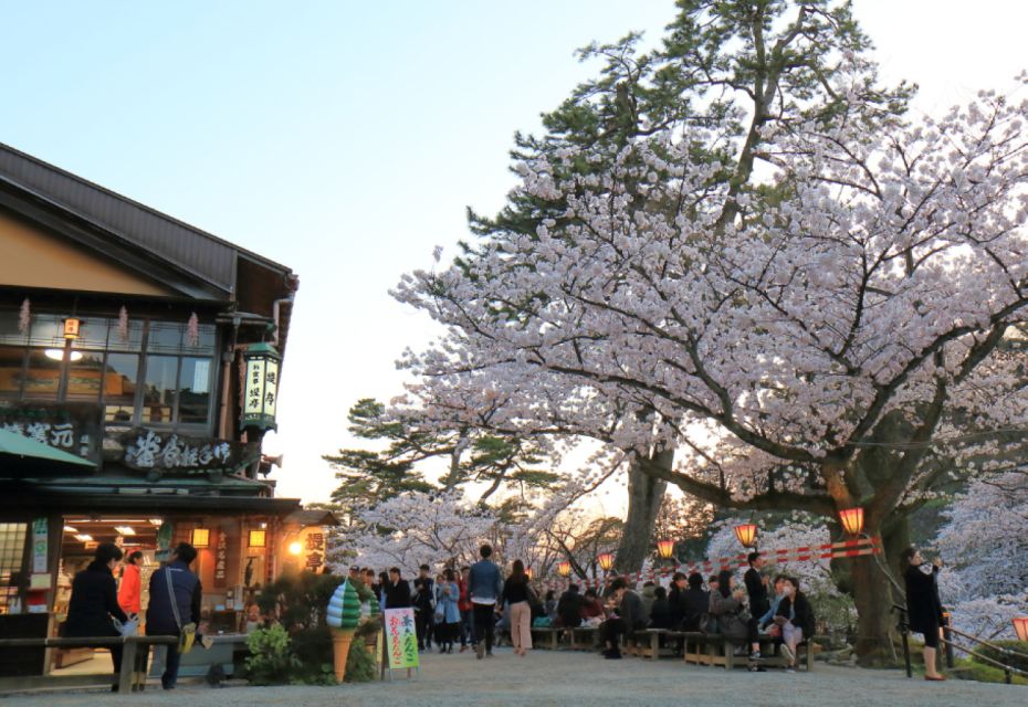 Private & Unique Kanazawa Cherry Blossom "Sakura" Experience - Activity Details