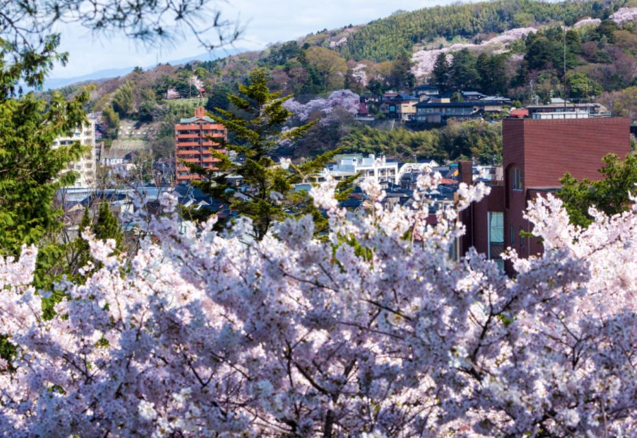 Private & Unique Kanazawa Cherry Blossom "Sakura" Experience - Cultural Immersion