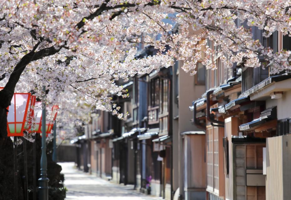 Private & Unique Kanazawa Cherry Blossom "Sakura" Experience - Booking Details