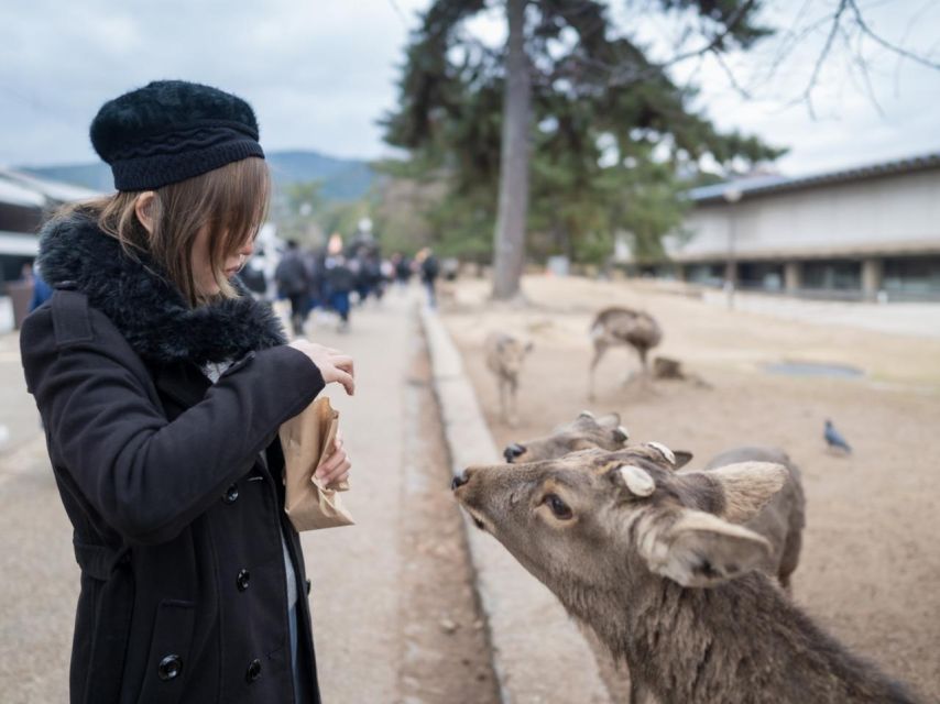 Nara's Historical Wonders: A Journey Through Time and Nature - Ancient Spirituality at Kasuga Taisha Shrine