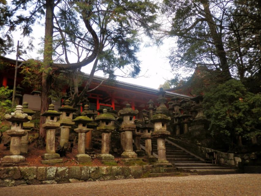 Nara's Historical Wonders: A Journey Through Time and Nature - Hidden Beauty of Shinyakushiji Temple