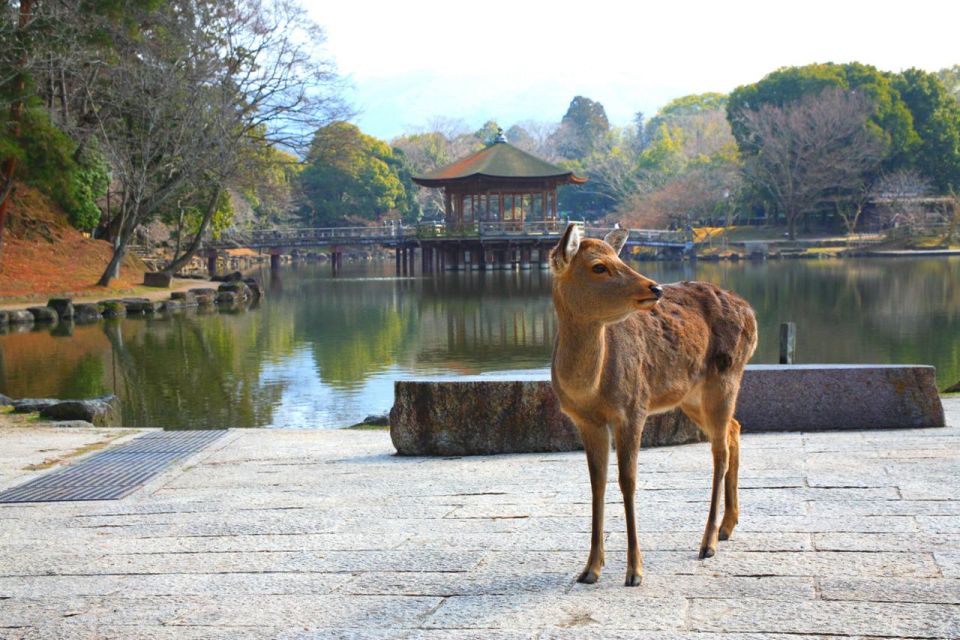 Nara's Historical Wonders: A Journey Through Time and Nature - Architectural Splendor of Kofuku-ji and Yakushiji Temples