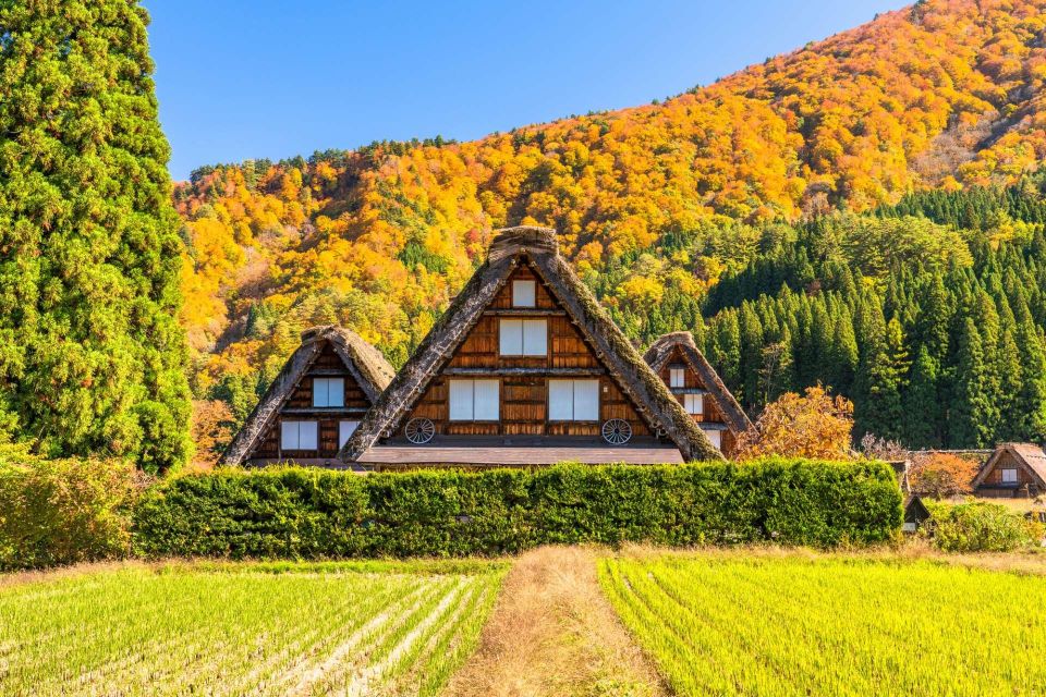 One Day Private Tour To Shirakawago & Takayama Eng Driver - Customization Options