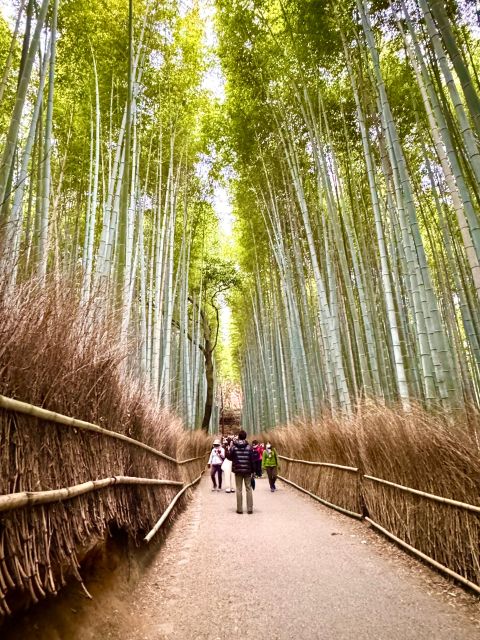 Kyoto: Fully Customizable Half Day Tour in the Old Capital - The Sum Up