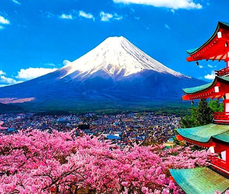 4-Day Private MT Fuji Tokyo Kamakura Hakone Nikko Yokohama - Pickup Details and Flexibility