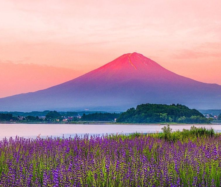 4-Day Private MT Fuji Tokyo Kamakura Hakone Nikko Yokohama - Inclusions: Private Tour, Transportation, Admission Fees, English-speaking Guide, Hotel Pickup