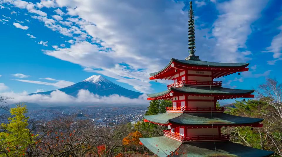 Mt. Fuji Sightseeing: Full Day Private Tour English Guide - Cancellation and Reservation Policy