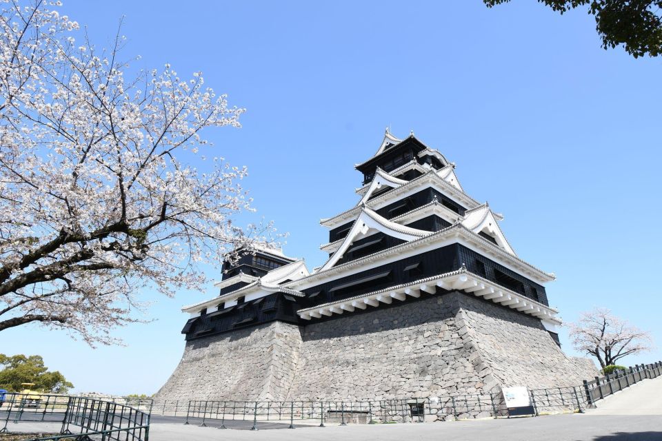 A Day Charter Bus Tour to Cherry Blossoms in Northern Kyushu - Frequently Asked Questions