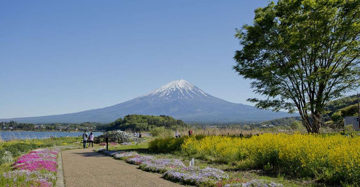 Mount Fuji Full Day Private Tour (English Speaking Driver) - Itinerary and Activities