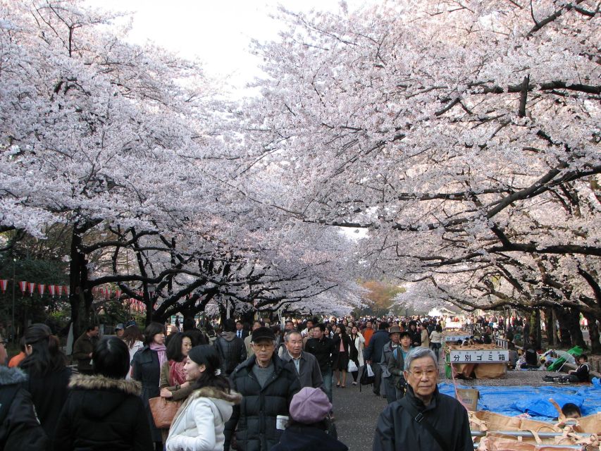 Tokyo: Full-Day Private Tour With English Guide - Sumida River Cruise and Cityscape Views