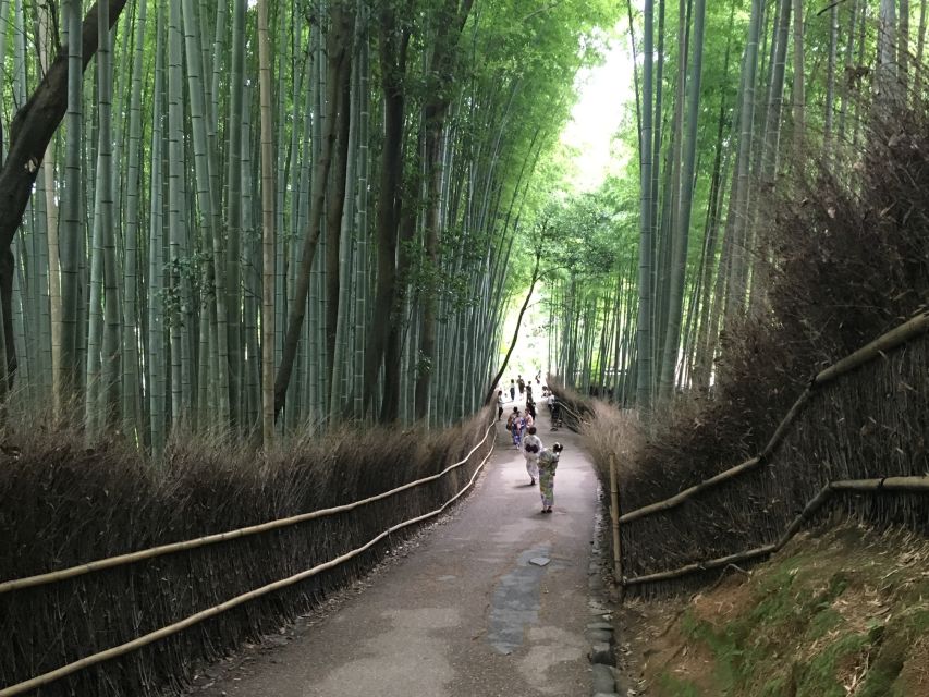 Kyoto: Arashiyama Bamboo Forest Walking Food Tour - Review Summary