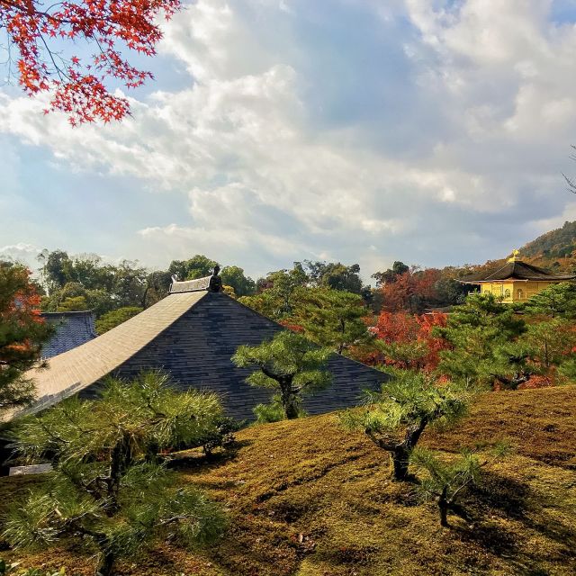 Kyoto: City Secrets Ebike Tour - Customer Reviews