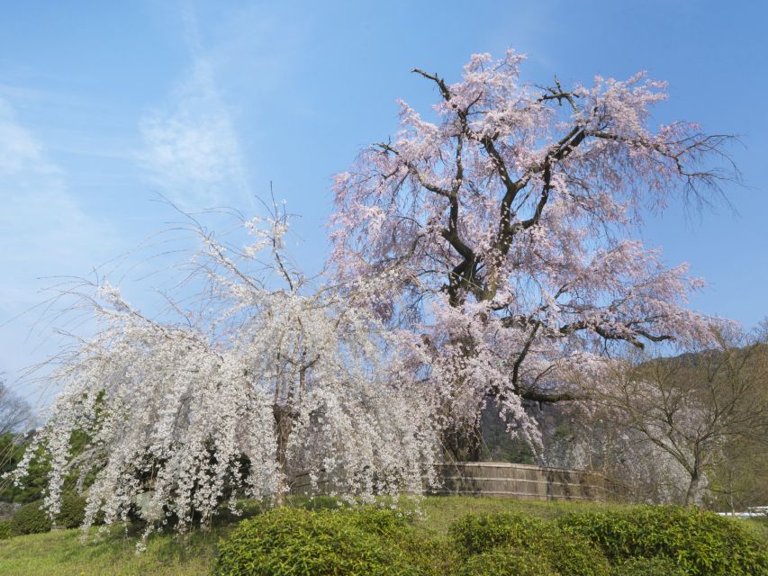 Kyoto: Private 2.5 Hour Historical Walking Tour - Customer Reviews