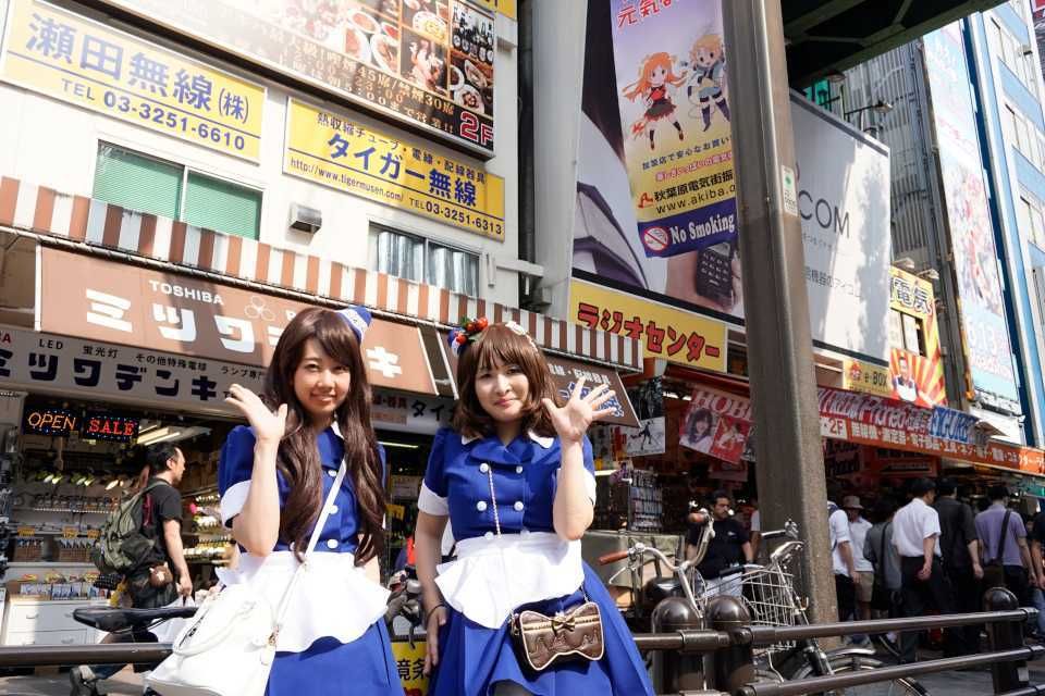 Tokyo: Akihabara 2-Hour Guided Walking Tour - Activity Details