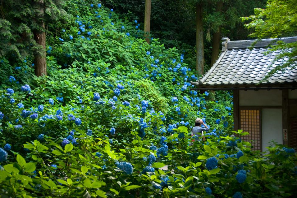 Kamakura: Great Buddha, Hase Temple, & Komachi Street Tour - Lunch and Shopping in Kamakura