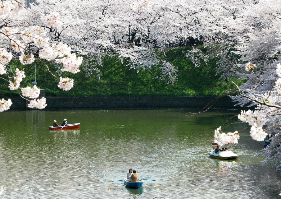 Sakura in Tokyo: Cherry Blossom Experience - Explore Tokyos Hidden Sakura Gems