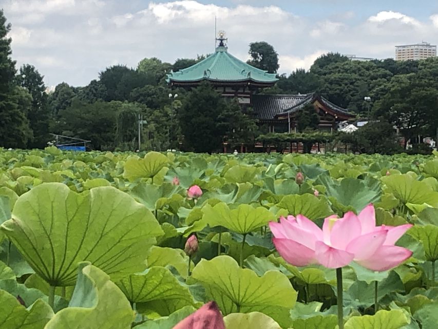 Private Ueno Park Architecture Tour - Customer Reviews