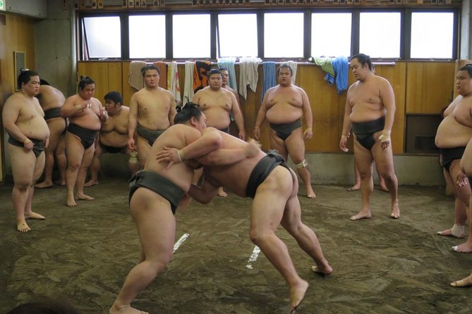 Tokyo Sumo Morning Practice Tour in Ryogoku With Sumo Lunch - Insider Tips for a Memorable Sumo Morning Practice Tour