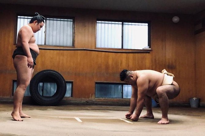 Tokyo Sumo Morning Practice Tour In Ryogoku With Sumo Lunch Key Takeaways